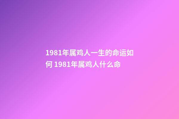 1981年属鸡人一生的命运如何 1981年属鸡人什么命-第1张-观点-玄机派